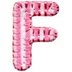 Girls iron on letter F